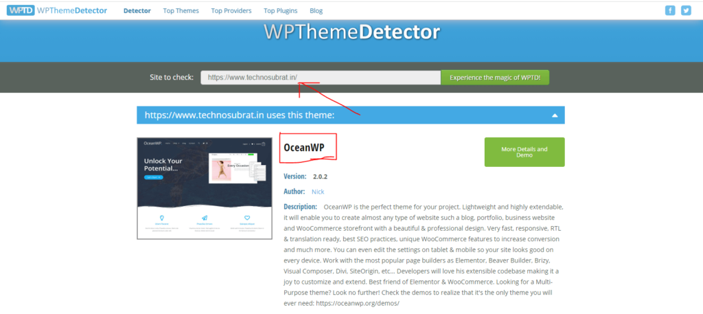 wp theme detector